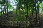 Explorando ruínas mayas tomadas pela vegetação em Palenque, Chiapas, no sul do México